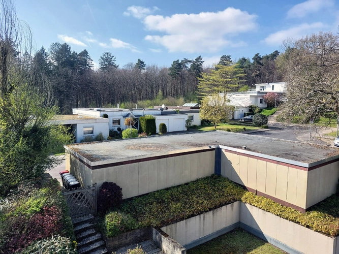 Bild5