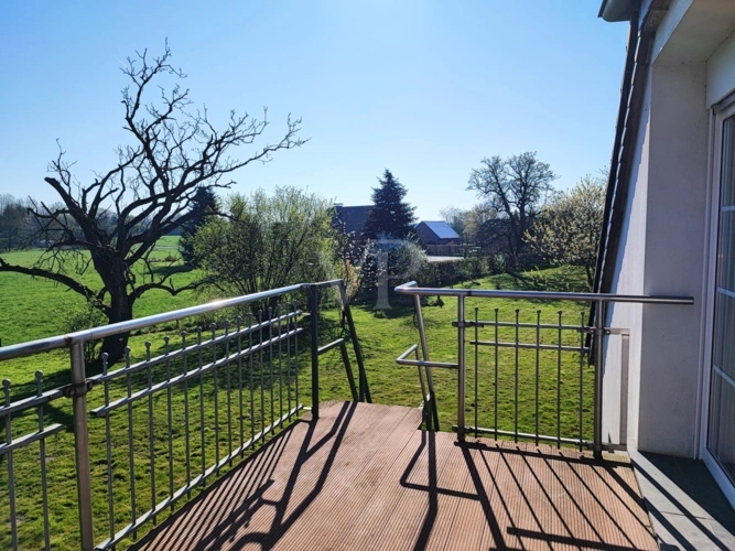 Blick in den Garten