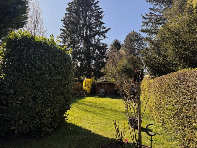 Bild5