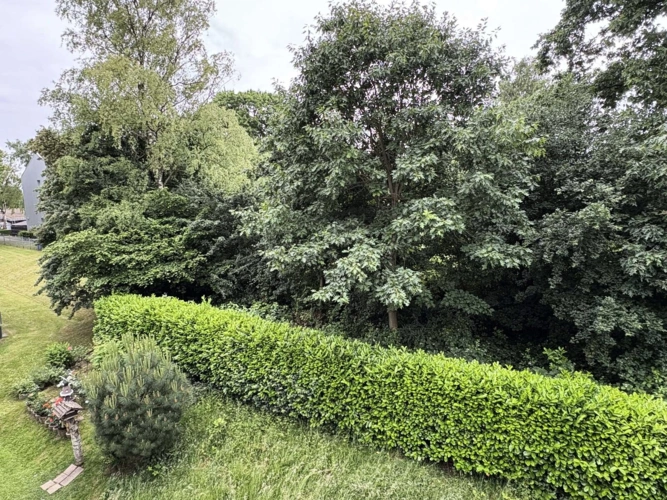 Aussicht ins Grüne