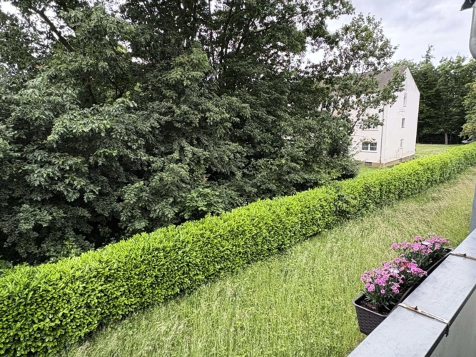 Aussicht ins Grüne