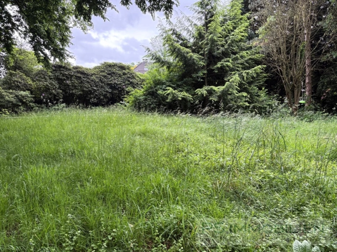 Garten 1