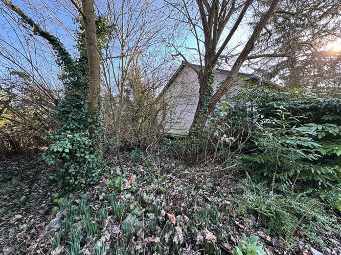 Bild6