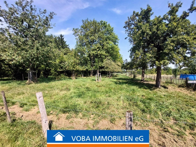 Bild1