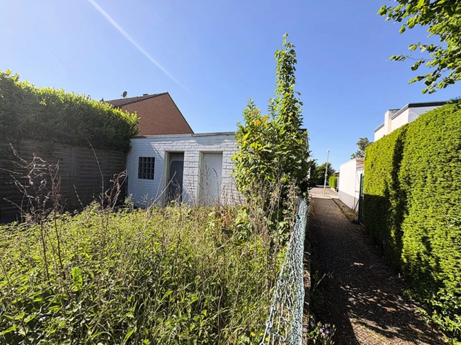 Bild19