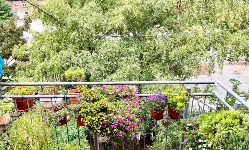 Ausblick vom Balkon