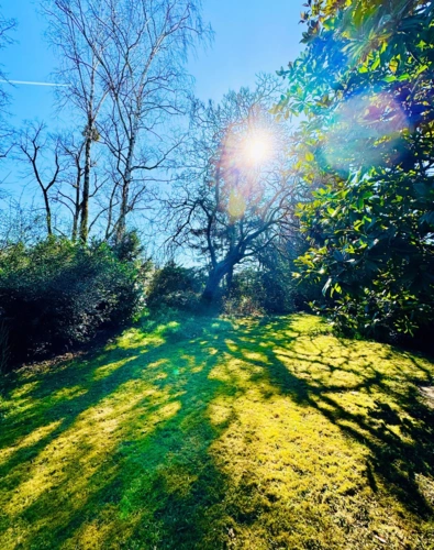 Garten