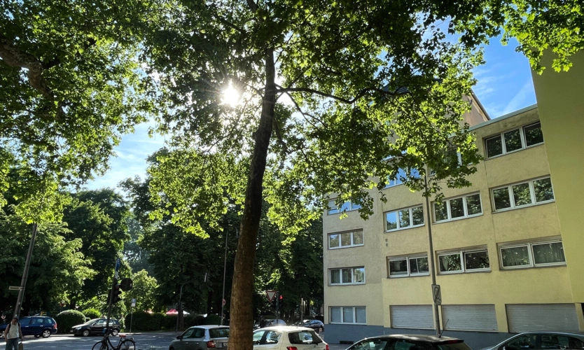 Vorderansicht