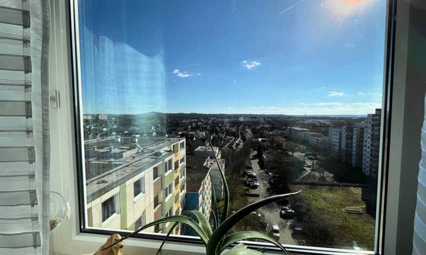 Ausblick