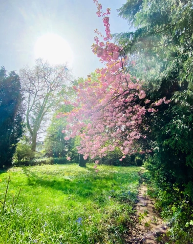 Garten