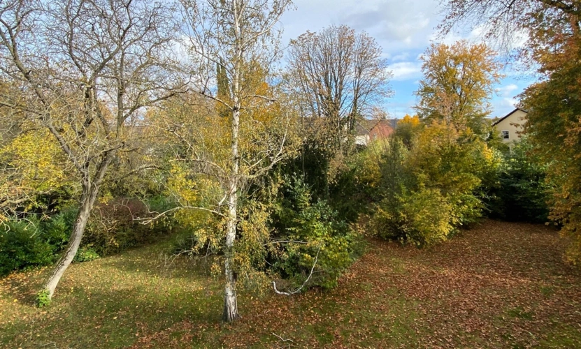 Blick in den Garten