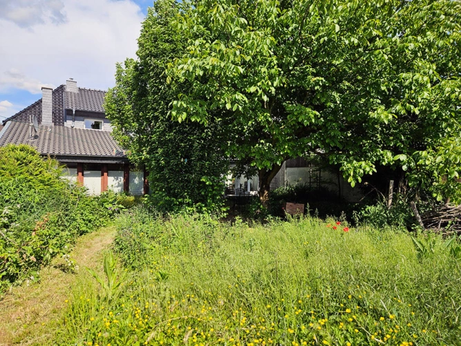 Bild4