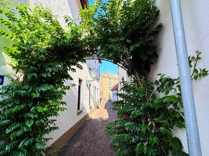 Bild6