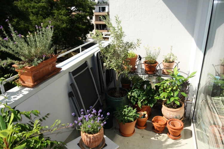 Balkon
