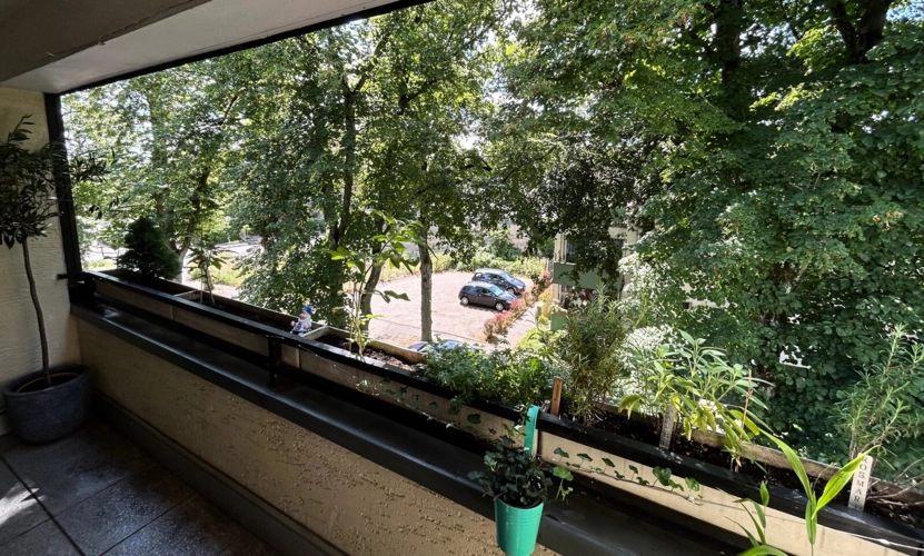 Ausblick