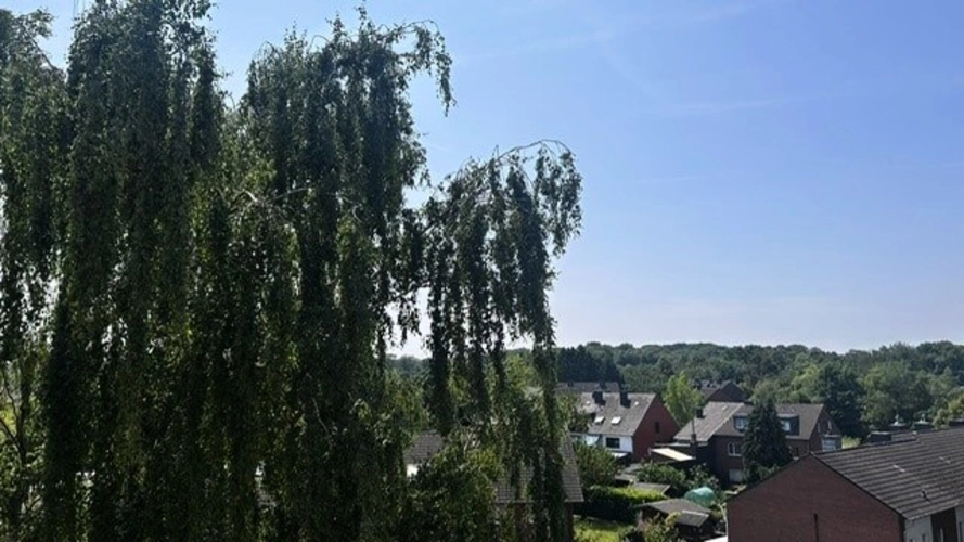 Ausblick