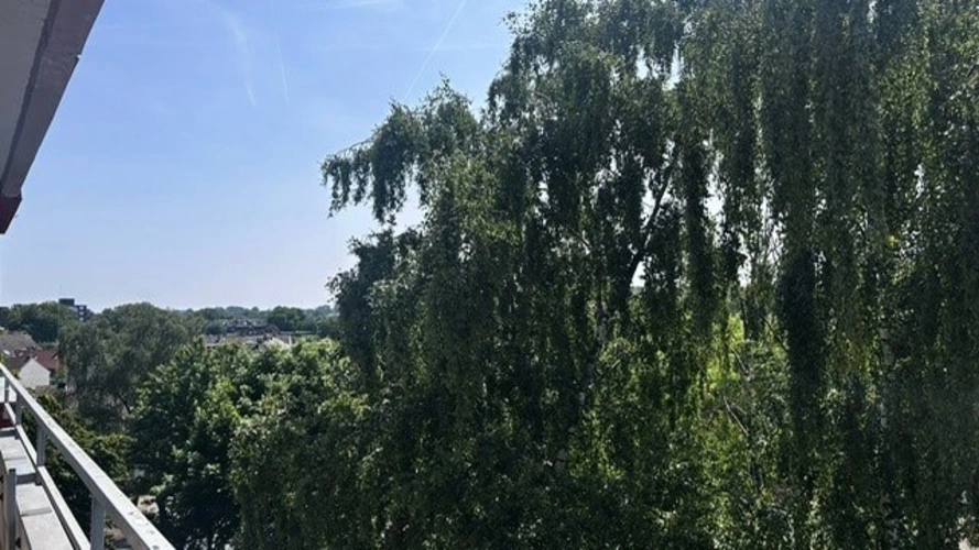 Ausblick