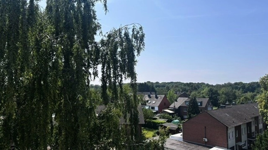 Ausblick