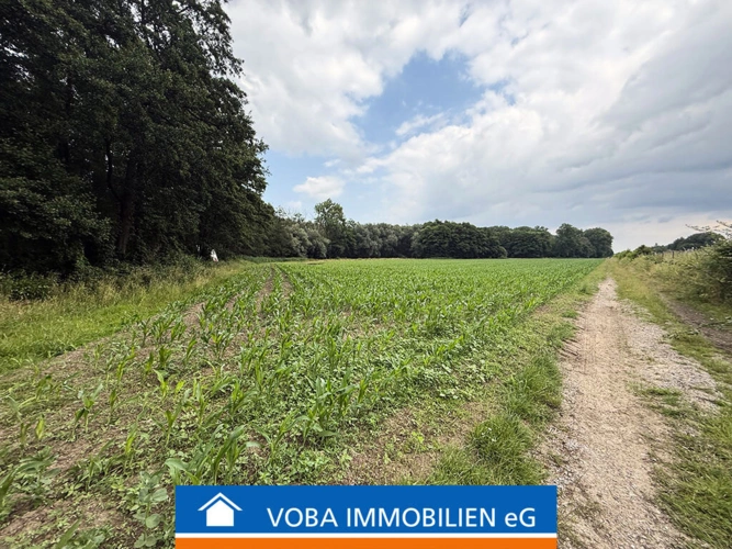 Bild1