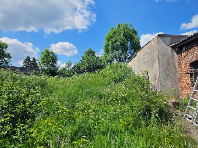 Bild6