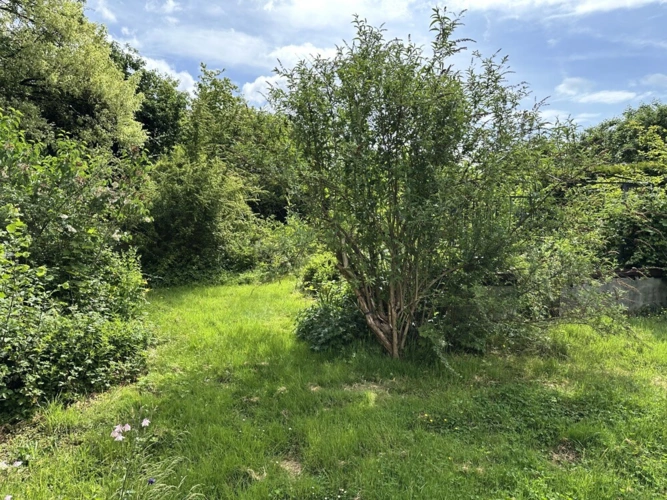 Gartenparadies
