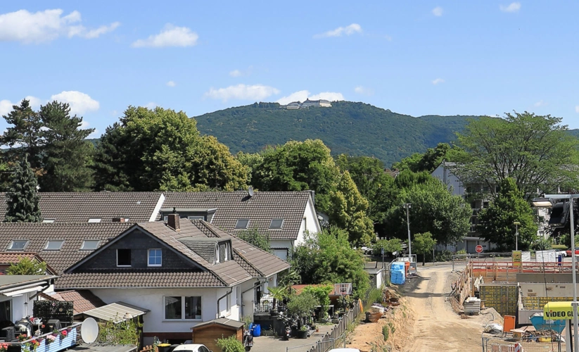 DG Ausblick