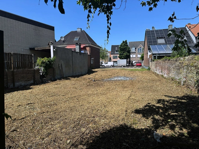 Bild11