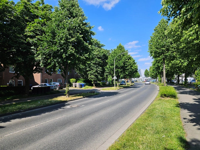 Bild11