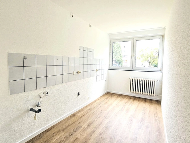 Bild8