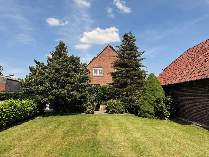 Bild6