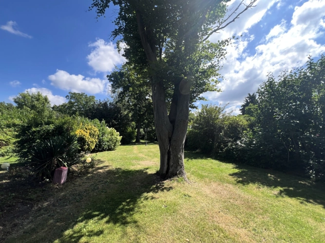 Blick in den Garten
