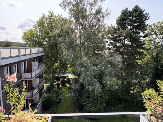 Ausblick