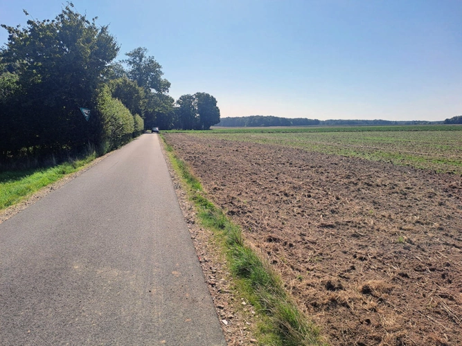 Bild7