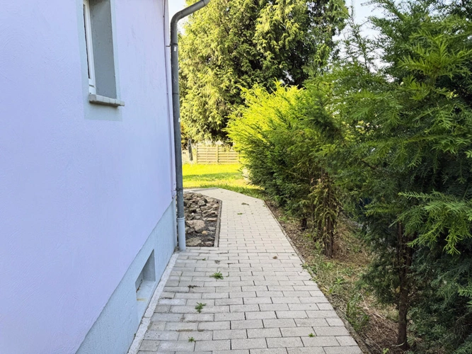 Bild4