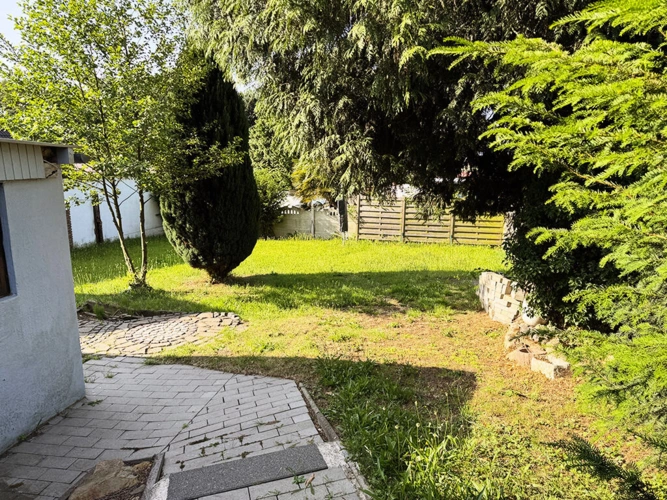 Bild5