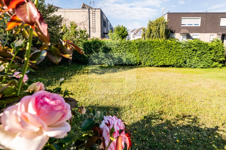 Garten (2)