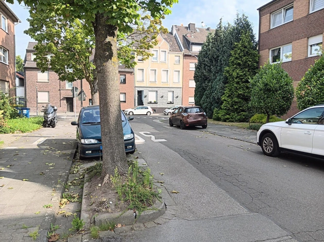 Bild17