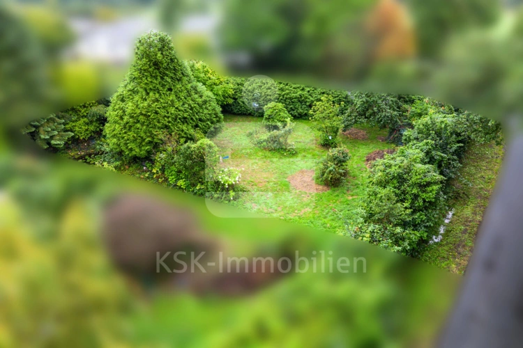 Draufsicht