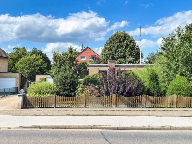 Bild5