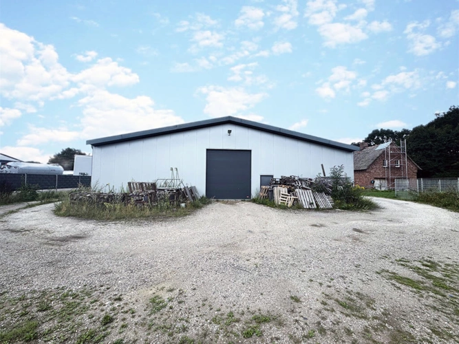 Bild6