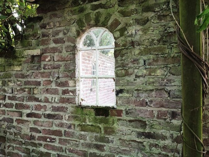 alter Baumbestand