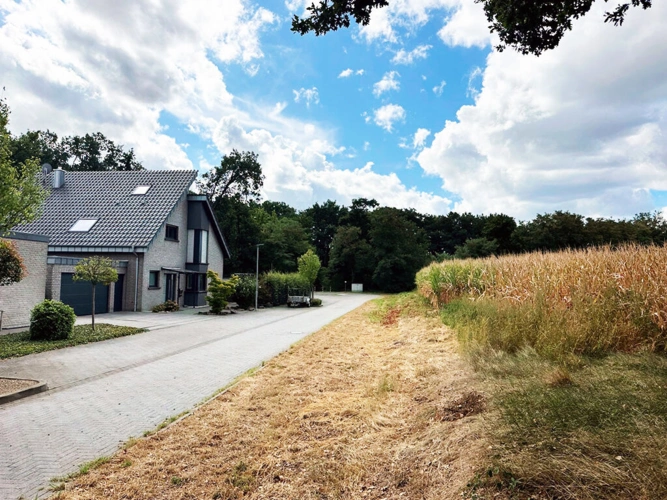 Bild22
