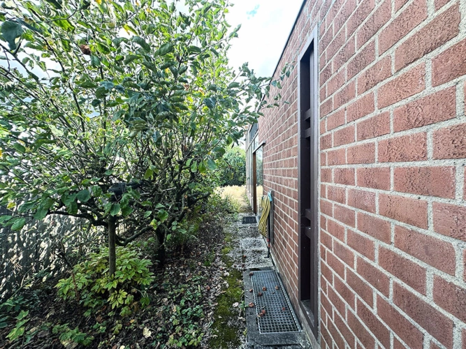 Bild6