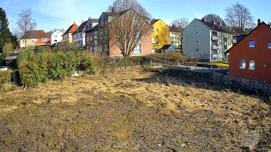 Meigen03