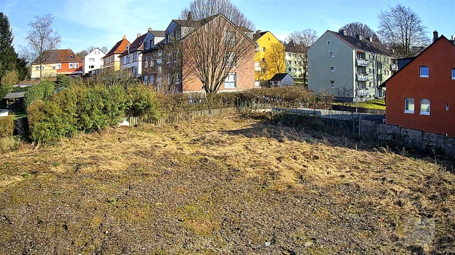 Meigen08