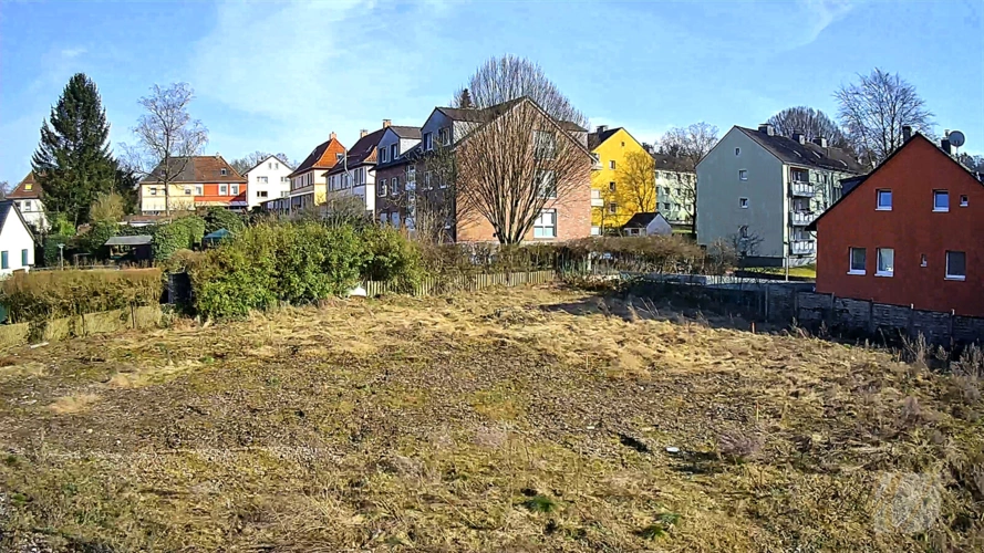 Meigen07