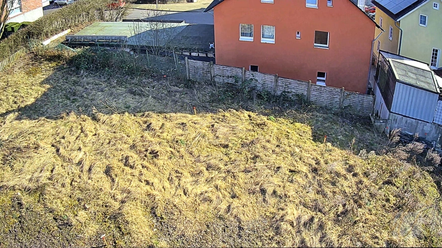 Meigen02