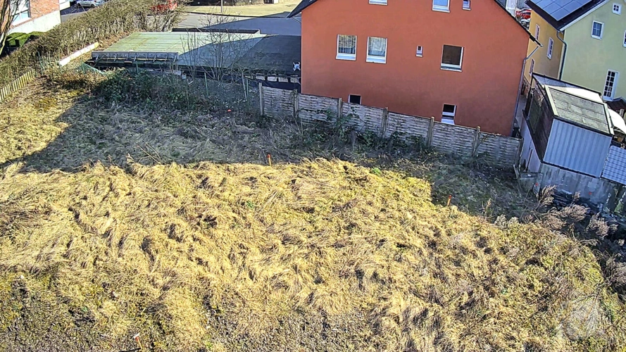 Meigen06