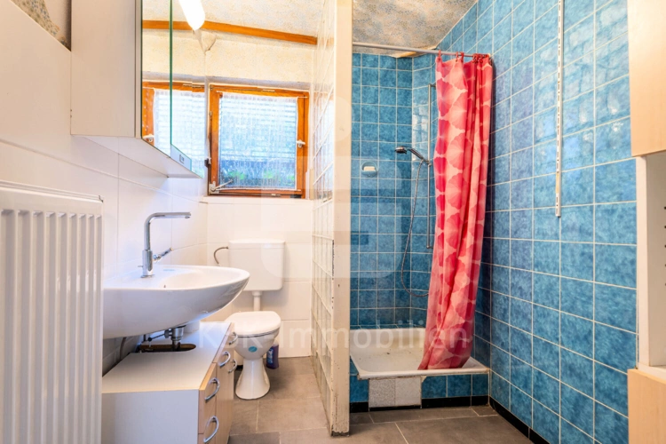 Badezimmer Souterrain
