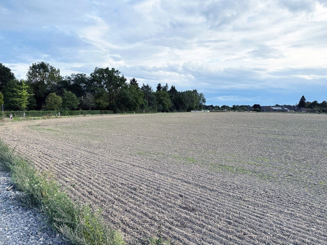Bild5